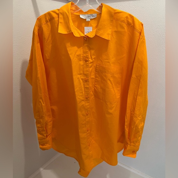 LOFT: Button Down Dress Shirt - Picture 1 of 4